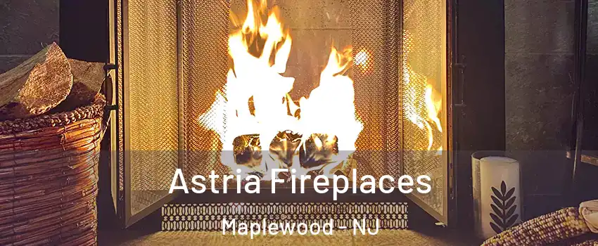  Astria Fireplaces Maplewood - NJ