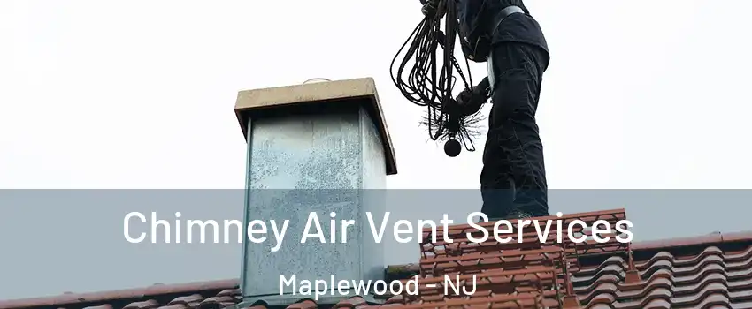  Chimney Air Vent Services Maplewood - NJ