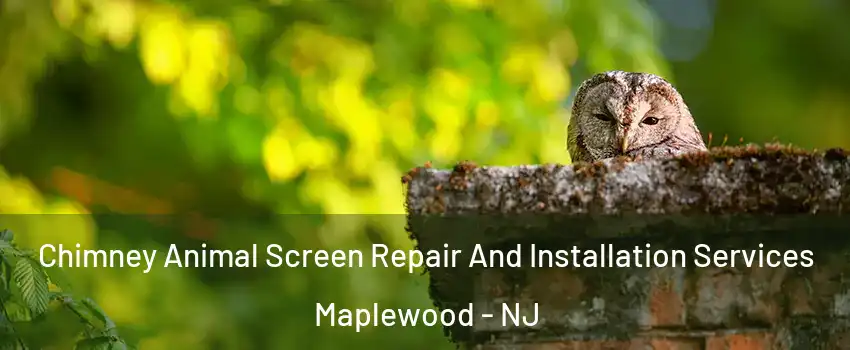  Chimney Animal Screen Repair And Installation Services Maplewood - NJ