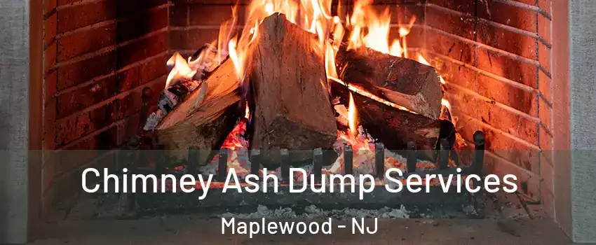  Chimney Ash Dump Services Maplewood - NJ