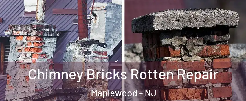  Chimney Bricks Rotten Repair Maplewood - NJ