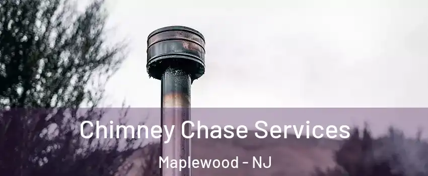  Chimney Chase Services Maplewood - NJ
