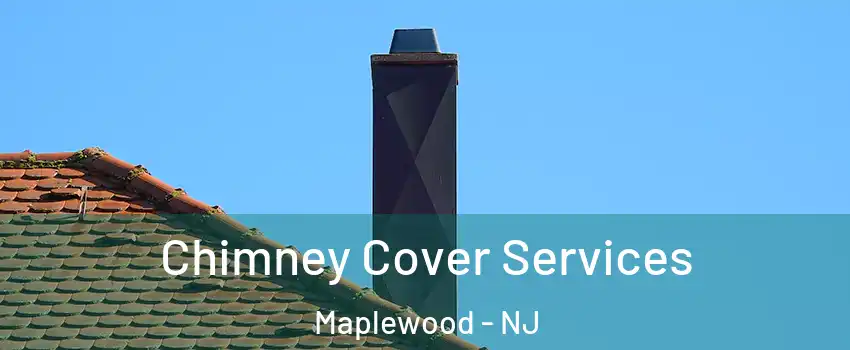  Chimney Cover Services Maplewood - NJ