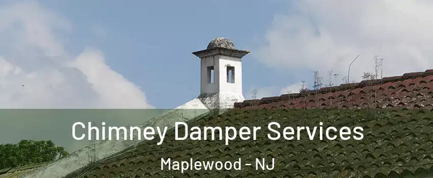  Chimney Damper Services Maplewood - NJ