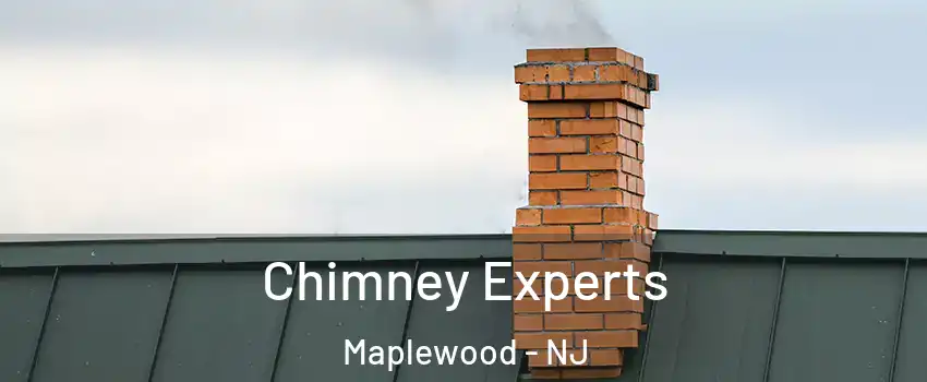 Chimney Experts Maplewood - NJ