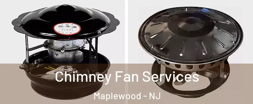  Chimney Fan Services Maplewood - NJ