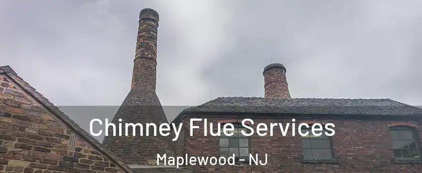  Chimney Flue Services Maplewood - NJ