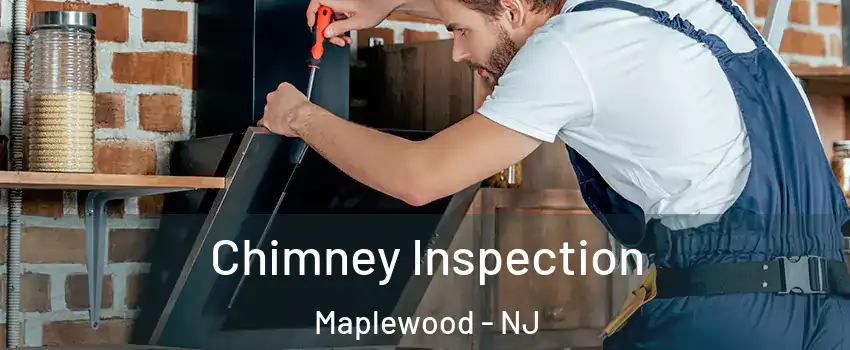  Chimney Inspection Maplewood - NJ