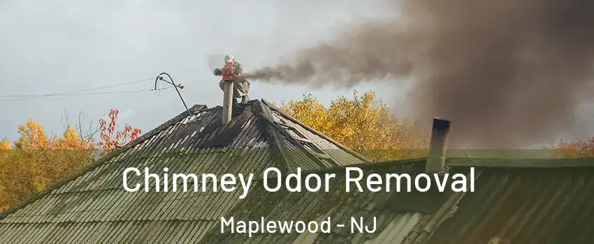  Chimney Odor Removal Maplewood - NJ