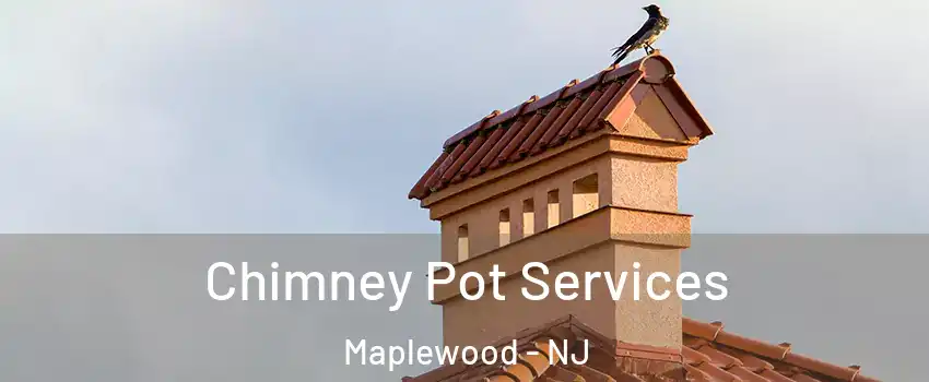  Chimney Pot Services Maplewood - NJ