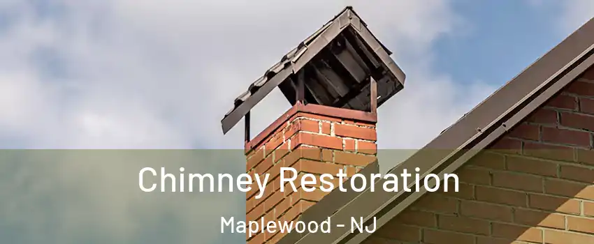  Chimney Restoration Maplewood - NJ