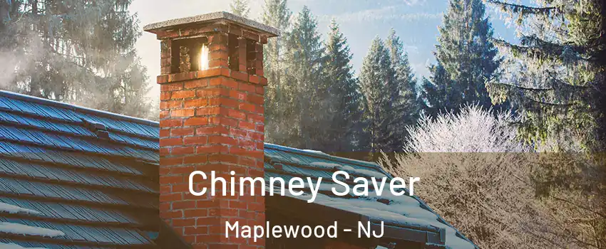  Chimney Saver Maplewood - NJ