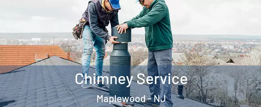  Chimney Service Maplewood - NJ