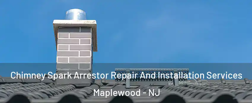  Chimney Spark Arrestor Repair And Installation Services Maplewood - NJ