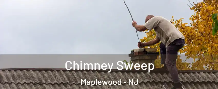  Chimney Sweep Maplewood - NJ