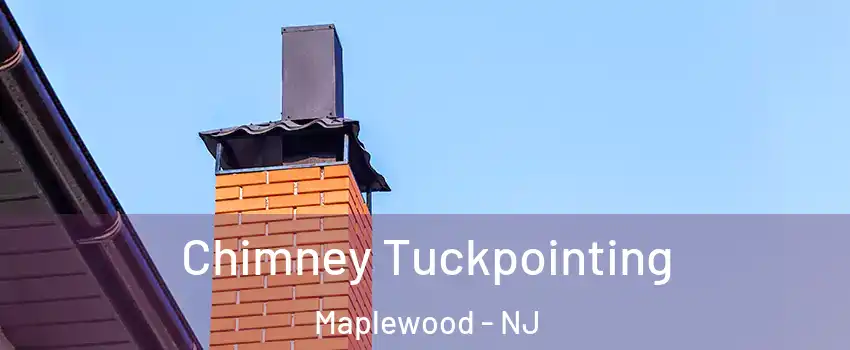  Chimney Tuckpointing Maplewood - NJ