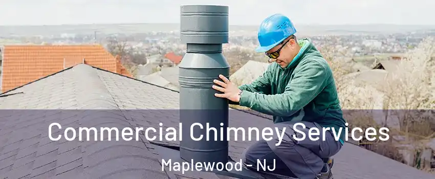  Commercial Chimney Services Maplewood - NJ