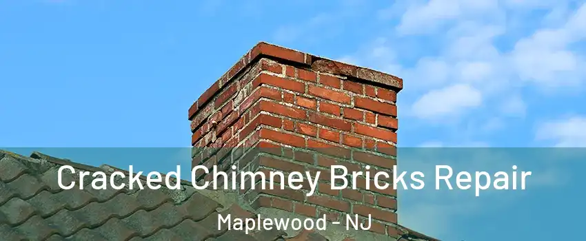  Cracked Chimney Bricks Repair Maplewood - NJ