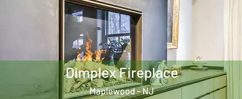  Dimplex Fireplace Maplewood - NJ