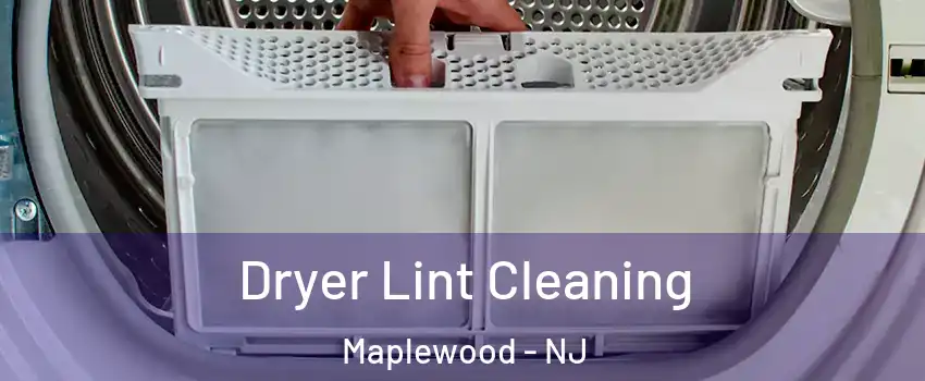  Dryer Lint Cleaning Maplewood - NJ
