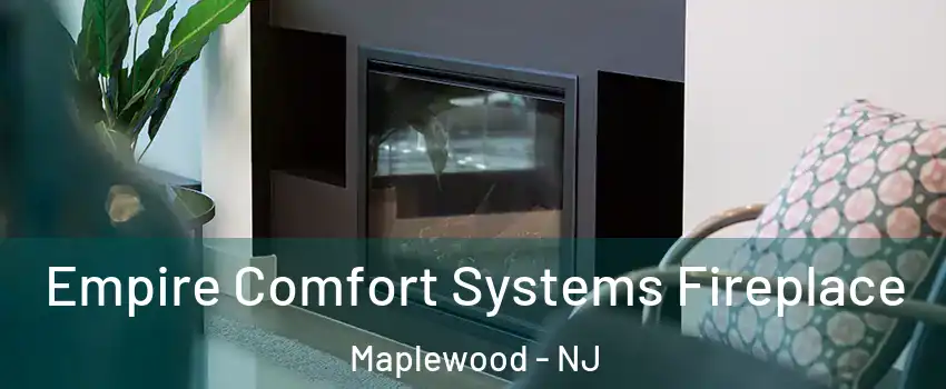  Empire Comfort Systems Fireplace Maplewood - NJ