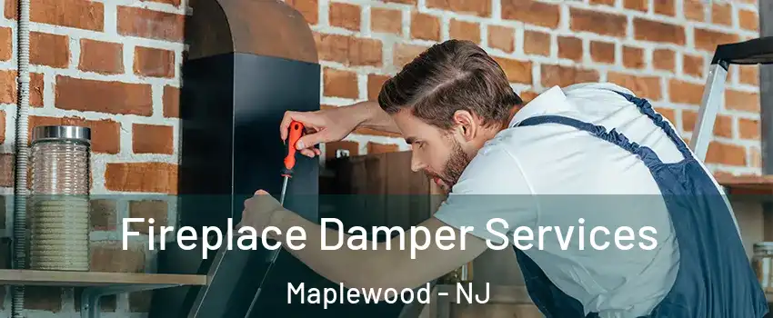  Fireplace Damper Services Maplewood - NJ
