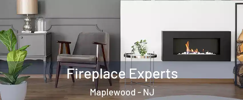  Fireplace Experts Maplewood - NJ