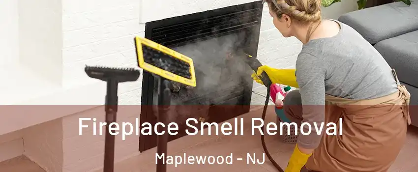  Fireplace Smell Removal Maplewood - NJ