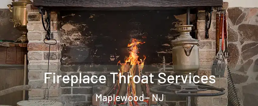  Fireplace Throat Services Maplewood - NJ