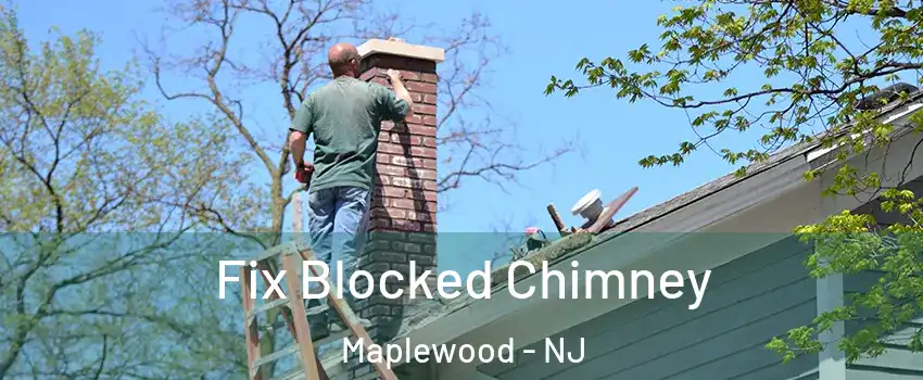  Fix Blocked Chimney Maplewood - NJ