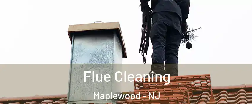  Flue Cleaning Maplewood - NJ