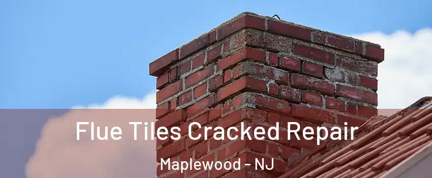  Flue Tiles Cracked Repair Maplewood - NJ