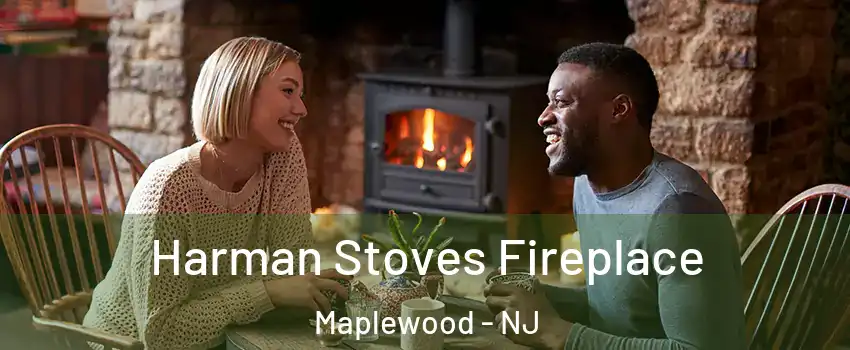  Harman Stoves Fireplace Maplewood - NJ