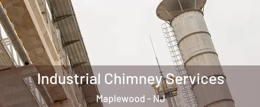  Industrial Chimney Services Maplewood - NJ