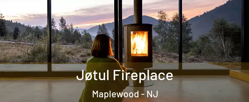  Jøtul Fireplace Maplewood - NJ