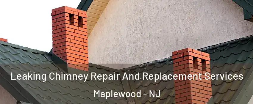  Leaking Chimney Repair And Replacement Services Maplewood - NJ
