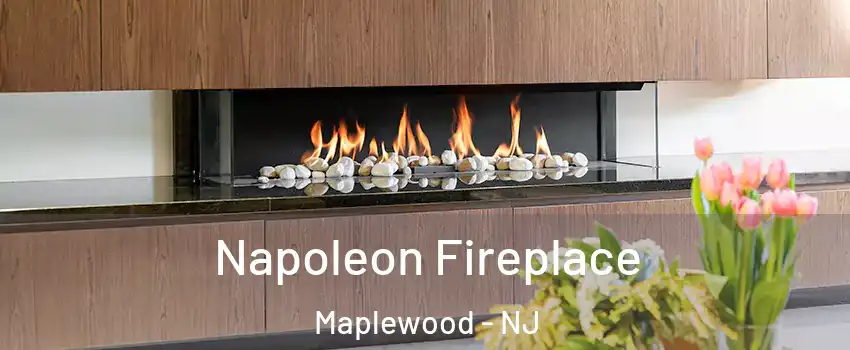  Napoleon Fireplace Maplewood - NJ