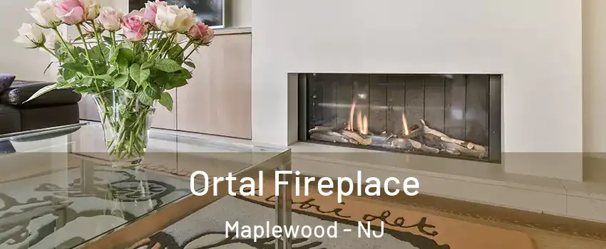  Ortal Fireplace Maplewood - NJ