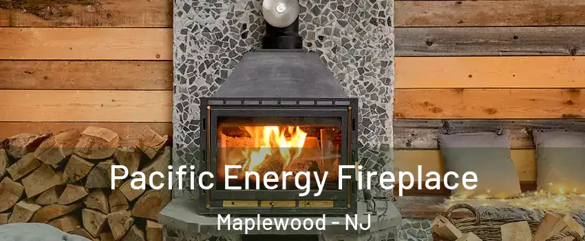  Pacific Energy Fireplace Maplewood - NJ